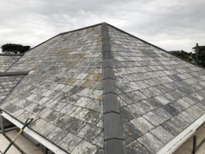 IMG_0149